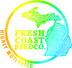 STUDIO 54 (1st Place Winner - 2024 SUNGROWN CUP)