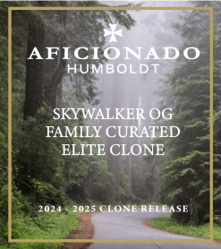 SKYWALKER OG (HPRC CUT)