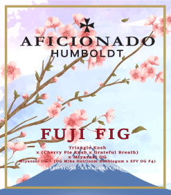 FUJI FIG