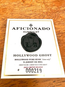 HOLLYWOOD GHOST
