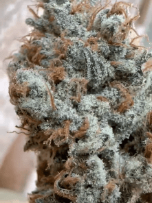 VANILLA BERRY PIE CLONE